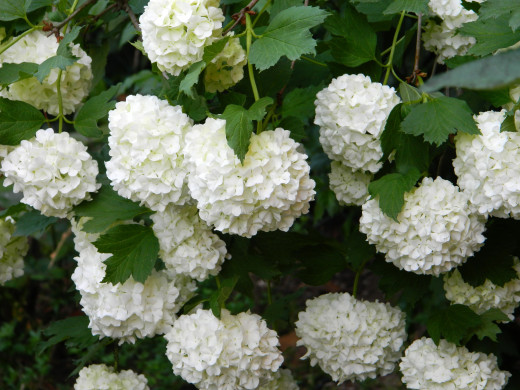 846351 (a): :2580x1935